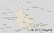 Shaded Relief 3D Map of Jonuta, desaturated