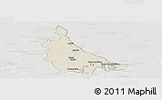 Shaded Relief Panoramic Map of Jonuta, lighten, semi-desaturated