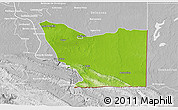 Physical 3D Map of Tenosique, lighten, desaturated
