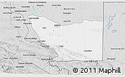 Silver Style 3D Map of Tenosique