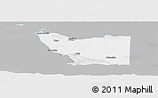 Gray Panoramic Map of Tenosique, single color outside