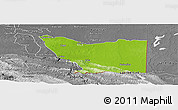 Physical Panoramic Map of Tenosique, desaturated