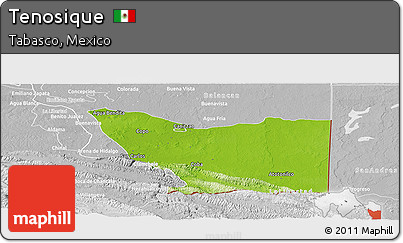 Physical Panoramic Map of Tenosique, lighten, desaturated