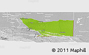 Physical Panoramic Map of Tenosique, lighten, desaturated