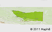 Physical Panoramic Map of Tenosique, lighten