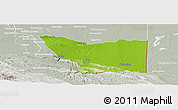 Physical Panoramic Map of Tenosique, lighten, semi-desaturated