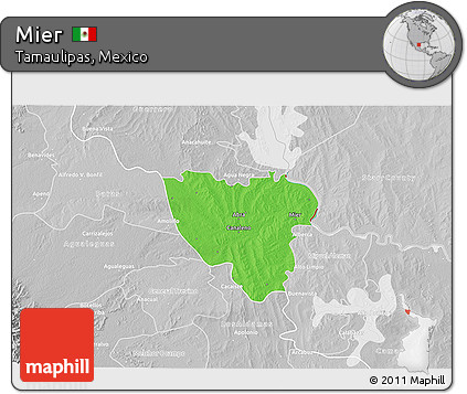 Political 3D Map of Mier, lighten, desaturated