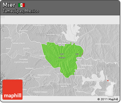 Political 3D Map of Mier, lighten, desaturated