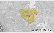 Satellite 3D Map of Mier, lighten, desaturated