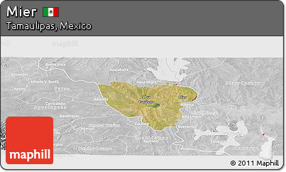 Satellite Panoramic Map of Mier, lighten, desaturated