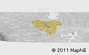 Satellite Panoramic Map of Mier, lighten, desaturated