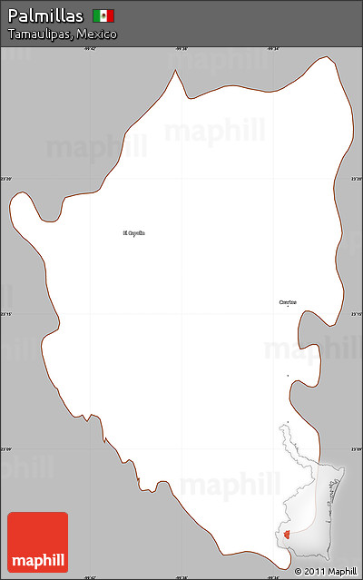 Gray Simple Map of Palmillas, cropped outside