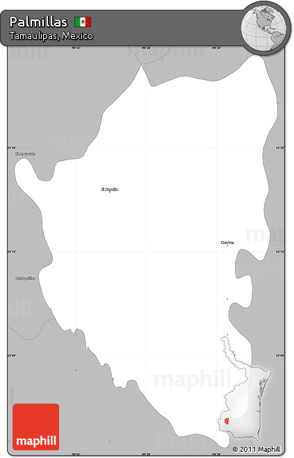 Gray Simple Map of Palmillas