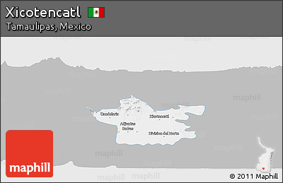 Gray Panoramic Map of Xicotencatl, single color outside