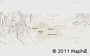 Shaded Relief Panoramic Map of Xicotencatl, lighten