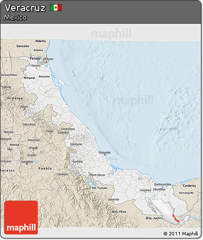 Classic Style 3D Map of Veracruz