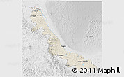 Shaded Relief 3D Map of Veracruz, lighten, desaturated