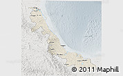 Shaded Relief 3D Map of Veracruz, lighten, semi-desaturated