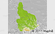 Physical 3D Map of Las Choapas, lighten, desaturated