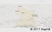 Shaded Relief Panoramic Map of Minatitlan, lighten, semi-desaturated
