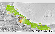 Physical Panoramic Map of Veracruz, lighten, desaturated