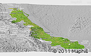 Satellite Panoramic Map of Veracruz, lighten, desaturated