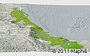 Satellite Panoramic Map of Veracruz, lighten, semi-desaturated