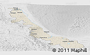Shaded Relief Panoramic Map of Veracruz, lighten, desaturated