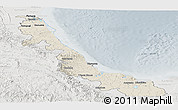 Shaded Relief Panoramic Map of Veracruz, lighten, semi-desaturated