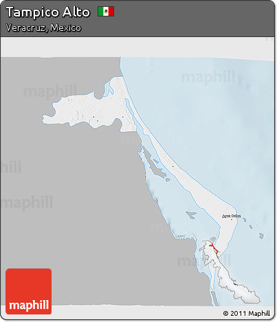 Gray 3D Map of Tampico Alto, single color outside