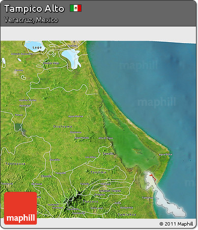 Satellite 3D Map of Tampico Alto
