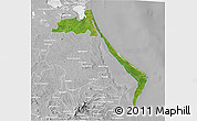 Satellite 3D Map of Tampico Alto, lighten, desaturated