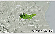 Satellite 3D Map of Tancoco, lighten, semi-desaturated