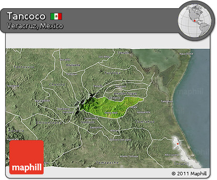 Satellite 3D Map of Tancoco, semi-desaturated