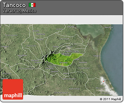 Satellite 3D Map of Tancoco, semi-desaturated