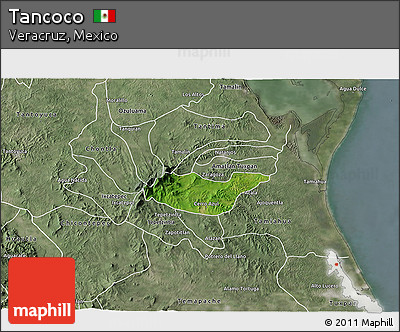 Satellite 3D Map of Tancoco, semi-desaturated