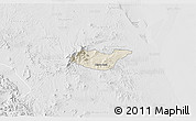 Shaded Relief 3D Map of Tancoco, lighten, desaturated