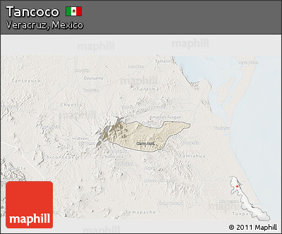 Shaded Relief 3D Map of Tancoco, lighten