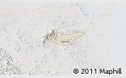 Shaded Relief 3D Map of Tancoco, lighten, semi-desaturated