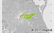 Physical Map of Tancoco, lighten, desaturated
