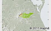 Physical Map of Tancoco, lighten, semi-desaturated