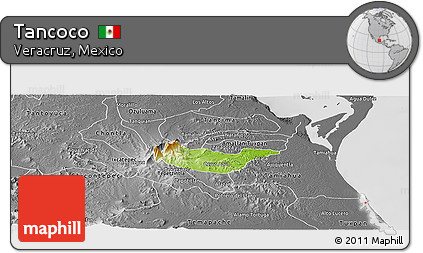 Physical Panoramic Map of Tancoco, desaturated