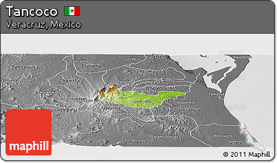 Physical Panoramic Map of Tancoco, desaturated