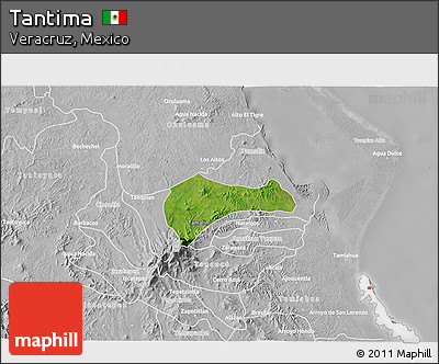 Satellite 3D Map of Tantima, lighten, desaturated
