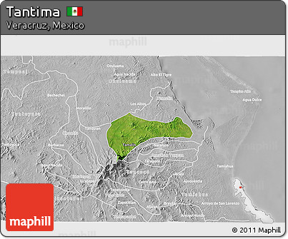Satellite 3D Map of Tantima, lighten, desaturated