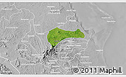 Satellite 3D Map of Tantima, lighten, desaturated