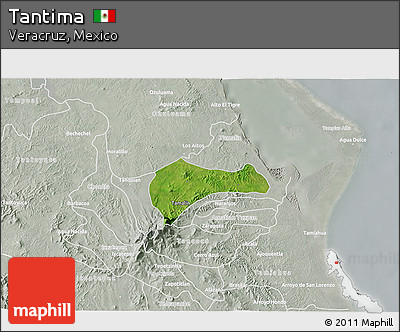 Satellite 3D Map of Tantima, lighten, semi-desaturated