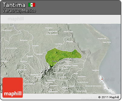Satellite 3D Map of Tantima, lighten, semi-desaturated