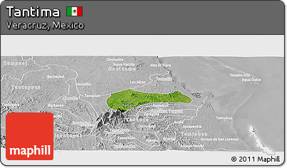 Satellite Panoramic Map of Tantima, lighten, desaturated