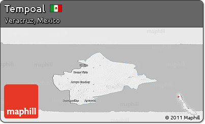 Gray Panoramic Map of Tempoal, single color outside
